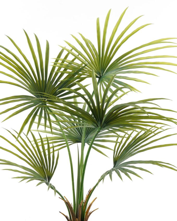 Artificial Tree Kwai Palm in PP pot 6 lvs GS-59523150CT_13 Artificial Tree 90*90*130cm Kwai Palm in PP pot/6 lvs GS-59523150CT 2024Jul YeahFlower is one of Chinese leading OEM manufacturers and exporters , supplying the silk flowers, wholesale artificial trees