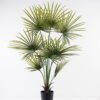 Artificial Tree 115*115*160cm Kwai Palm in PP pot/8 lvs GS-59523151-UV 2024Jul YeahFlower is one of Chinese leading OEM manufacturers and exporters , supplying the silk flowers, wholesale artificial trees