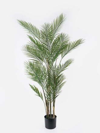 Artificial Tree 210cm Kwai tree *6 in PP pot/23 lvs GS-59523132-210-UV Tree&Plant 3,000+ sqm showroom with thousands of artificial flowers, plants & trees ready for global sourcing.