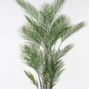 Artificial Tree 92*92*150cm Kwai tree *6 in PP pot/23 lvs GS-59523132-UV 2024Jul YeahFlower is one of Chinese leading OEM manufacturers and exporters , supplying the silk flowers, wholesale artificial trees