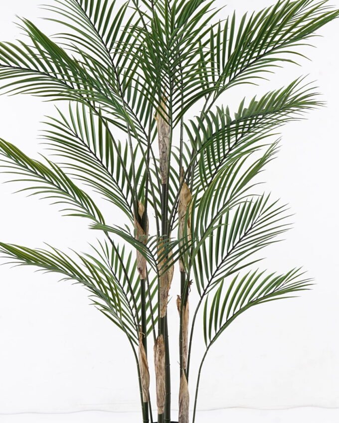 Artificial Tree Kwai tree 6 in PP pot 23 lvs GS-59523132CT_7 Artificial Tree 92*92*150cm Kwai tree *6 in PP pot/23 lvs GS-59523132CT 2024Jul YeahFlower is one of Chinese leading OEM manufacturers and exporters , supplying the silk flowers, wholesale artificial trees