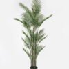 Artificial Tree 125*125*180cm Kwai tree *7 in PP pot/28 lvs GS-59523131-UV 2024Jul YeahFlower is one of Chinese leading OEM manufacturers and exporters , supplying the silk flowers, wholesale artificial trees