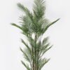 Artificial Tree 125*125*180cm Kwai tree *7 in PP pot/28 lvs GS-59523131-UV 2024Jul YeahFlower is one of Chinese leading OEM manufacturers and exporters , supplying the silk flowers, wholesale artificial trees