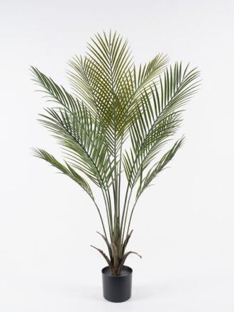 Artificial Tree 80*80*180cm Olive tree in PP pot/697 lvs GS-59524009KD-UV-R Tree&Plant 3,000+ sqm showroom with thousands of artificial flowers, plants & trees ready for global sourcing.