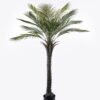 Artificial Tree Kwai tree in PP pot 15 lvs GS-59523119CT-KD_1 Artificial Tree 100*100*150cm Kwai tree in PP pot/15 lvs GS-59523119CT-KD 2024Jul YeahFlower is one of Chinese leading OEM manufacturers and exporters , supplying the silk flowers, wholesale artificial trees