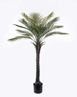 Artificial Tree 100*100*150cm Kwai tree in PP pot/15 lvs GS-59523119CT-KD 2024Jul YeahFlower is one of Chinese leading OEM manufacturers and exporters , supplying the silk flowers, wholesale artificial trees