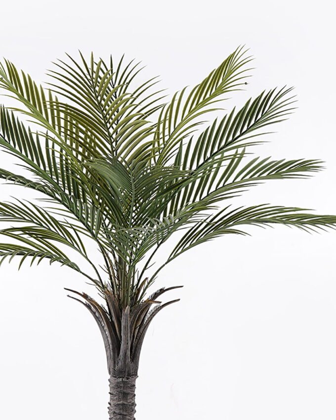 Artificial Tree Kwai tree in PP pot 15 lvs GS-59523119CT-KD_8 Artificial Tree 100*100*150cm Kwai tree in PP pot/15 lvs GS-59523119CT-KD 2024Jul YeahFlower is one of Chinese leading OEM manufacturers and exporters , supplying the silk flowers, wholesale artificial trees