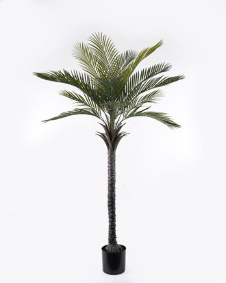 Artificial Tree 100*100*180cm Kwai tree in PP pot/15 lvs GS-59523120CT-KD 2024Jul YeahFlower is one of Chinese leading OEM manufacturers and exporters , supplying the silk flowers, wholesale artificial trees