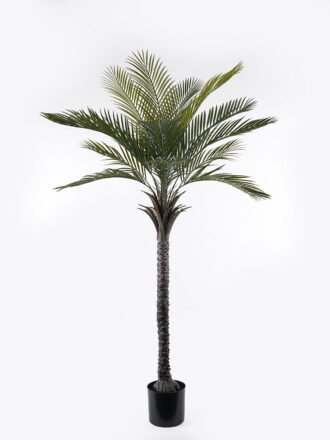 Artificial Tree 80*80*120cm Kwai tree in PP pot/12 lvs GS-59523123CT Tree&Plant 3,000+ sqm showroom with thousands of artificial flowers, plants & trees ready for global sourcing.