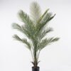 Artificial Tree 80*80*150cm Kwai tree in PP pot/18 lvs GS-59523158-UV 2024Jul YeahFlower is one of Chinese leading OEM manufacturers and exporters , supplying the silk flowers, wholesale artificial trees