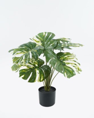 Artificial Tree 70*70*60cm Leaf in PP pot GS-69424004 2024Jul YeahFlower is one of Chinese leading OEM manufacturers and exporters , supplying the silk flowers, wholesale artificial trees Artificial Tree 70*70*60cm Leaf in PP pot GS-69424004 2024Jul YeahFlower is one of Chinese leading OEM manufacturers and exporters , supplying the silk flowers, wholesale artificial trees