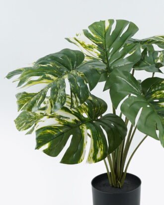 Artificial Tree 70*70*60cm Leaf in PP pot GS-69424004 2024Jul YeahFlower is one of Chinese leading OEM manufacturers and exporters , supplying the silk flowers, wholesale artificial trees Artificial Tree 70*70*60cm Leaf in PP pot GS-69424004 2024Jul YeahFlower is one of Chinese leading OEM manufacturers and exporters , supplying the silk flowers, wholesale artificial trees