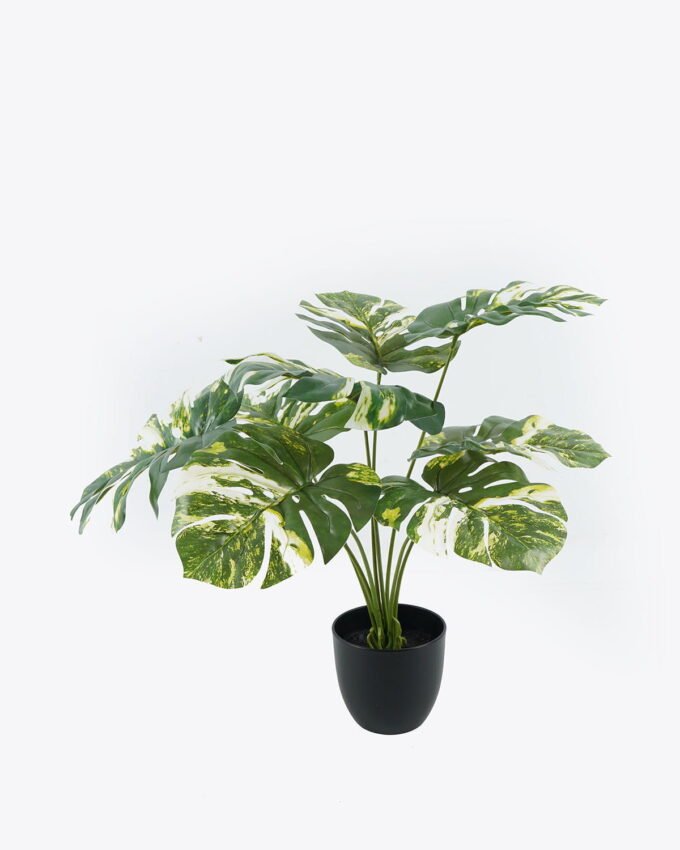 Artificial Tree 58*58*50cm Leaf in PP pot GS-69424005 2024Jul YeahFlower is one of Chinese leading OEM manufacturers and exporters , supplying the silk flowers, wholesale artificial trees