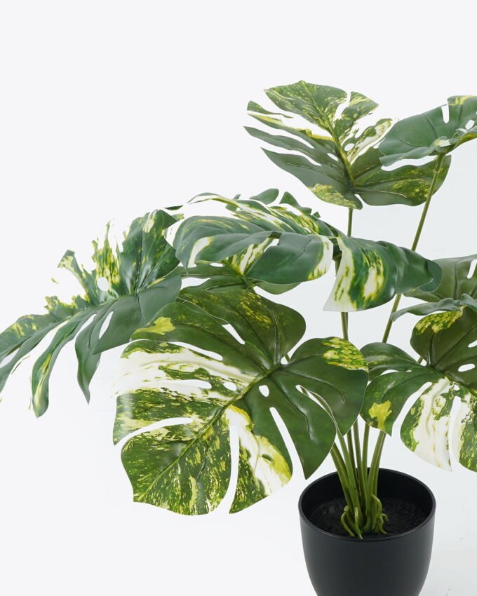 Artificial Tree 58*58*50cm Leaf in PP pot GS-69424005 2024Jul YeahFlower is one of Chinese leading OEM manufacturers and exporters , supplying the silk flowers, wholesale artificial trees