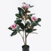 Artificial Tree 50*50*90cm Magnolia in PP pot GS-69424006 2024Jul YeahFlower is one of Chinese leading OEM manufacturers and exporters , supplying the silk flowers, wholesale artificial trees