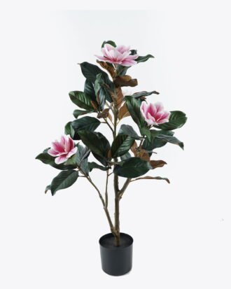 Artificial Tree 50*50*90cm Magnolia in PP pot GS-69424006 2024Jul YeahFlower is one of Chinese leading OEM manufacturers and exporters , supplying the silk flowers, wholesale artificial trees Artificial Tree 50*50*90cm Magnolia in PP pot GS-69424006 2024Jul YeahFlower is one of Chinese leading OEM manufacturers and exporters , supplying the silk flowers, wholesale artificial trees