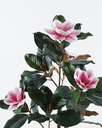 Artificial Tree 50*50*90cm Magnolia in PP pot GS-69424006 2024Jul YeahFlower is one of Chinese leading OEM manufacturers and exporters , supplying the silk flowers, wholesale artificial trees Artificial Tree 50*50*90cm Magnolia in PP pot GS-69424006 2024Jul YeahFlower is one of Chinese leading OEM manufacturers and exporters , supplying the silk flowers, wholesale artificial trees