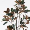 Artificial Tree Magnolia in PP pot GS-69424008_6 Artificial Tree 60*60*147cm Magnolia in PP pot GS-69424008 2024Jul YeahFlower is one of Chinese leading OEM manufacturers and exporters , supplying the silk flowers, wholesale artificial trees