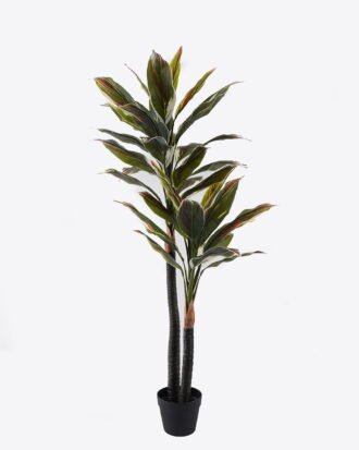 Artificial Tree 60*60*140cm Red cycas tree in PP pot GS-30422015CT-G1 2024Jul YeahFlower is one of Chinese leading OEM manufacturers and exporters , supplying the silk flowers, wholesale artificial trees