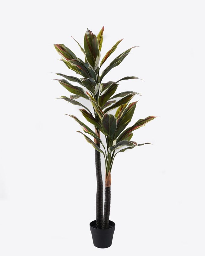 Artificial Tree 60*60*140cm Red cycas tree in PP pot GS-30422015CT-G1 2024Jul YeahFlower is one of Chinese leading OEM manufacturers and exporters , supplying the silk flowers, wholesale artificial trees