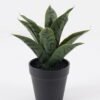 Artificial Tree Sansevieria in PP pot GS-59524028_3 Artificial Tree 18*18*23cm Sansevieria in PP pot GS-59524028 2024Jul YeahFlower is one of Chinese leading OEM manufacturers and exporters , supplying the silk flowers, wholesale artificial trees