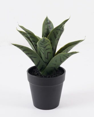 Artificial Tree 18*18*23cm Sansevieria in PP pot GS-59524028 2024Jul YeahFlower is one of Chinese leading OEM manufacturers and exporters , supplying the silk flowers, wholesale artificial trees