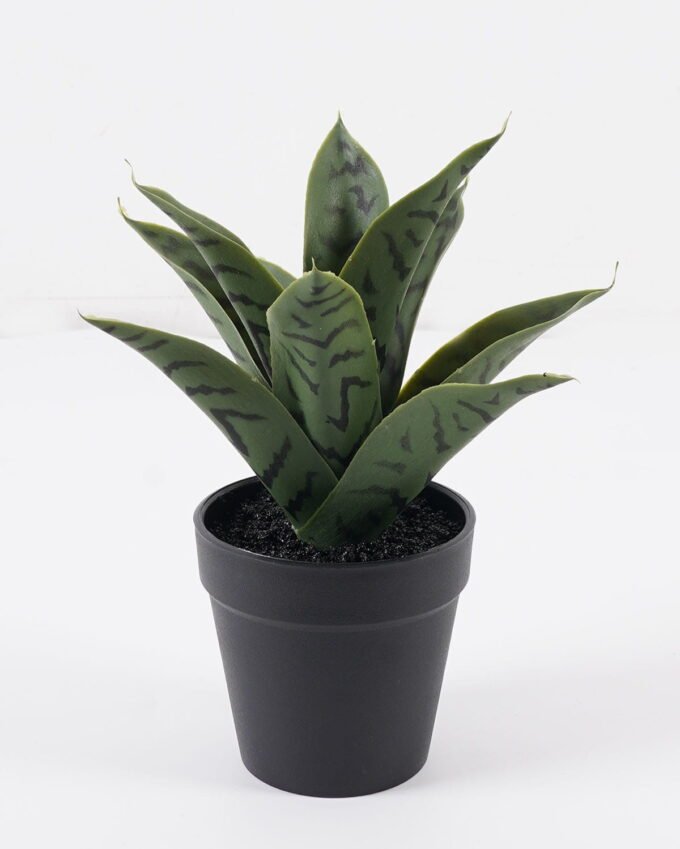 Artificial Tree Sansevieria in PP pot GS-59524028_3 Artificial Tree 18*18*23cm Sansevieria in PP pot GS-59524028 2024Jul YeahFlower is one of Chinese leading OEM manufacturers and exporters , supplying the silk flowers, wholesale artificial trees
