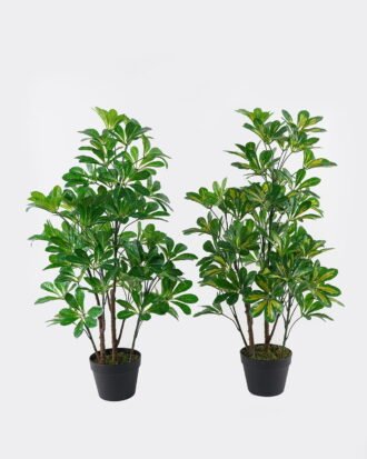Artificial Tree 50*50*94cm Scheffera in PP pot/lvs 420 GS-30624001 2024Jul YeahFlower is one of Chinese leading OEM manufacturers and exporters , supplying the silk flowers, wholesale artificial trees Artificial Tree 50*50*94cm Scheffera in PP pot/lvs 420 GS-30624001 2024Jul YeahFlower is one of Chinese leading OEM manufacturers and exporters , supplying the silk flowers, wholesale artificial trees