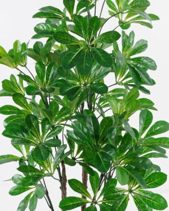 Artificial Tree 50*50*94cm Scheffera in PP pot/lvs 420 GS-30624001 2024Jul YeahFlower is one of Chinese leading OEM manufacturers and exporters , supplying the silk flowers, wholesale artificial trees Artificial Tree 50*50*94cm Scheffera in PP pot/lvs 420 GS-30624001 2024Jul YeahFlower is one of Chinese leading OEM manufacturers and exporters , supplying the silk flowers, wholesale artificial trees