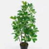 Artificial Tree Scheffera in PP pot lvs 420 GS-30624001_3 Artificial Tree 50*50*94cm Scheffera in PP pot/lvs 420 GS-30624001 2024Jul YeahFlower is one of Chinese leading OEM manufacturers and exporters , supplying the silk flowers, wholesale artificial trees