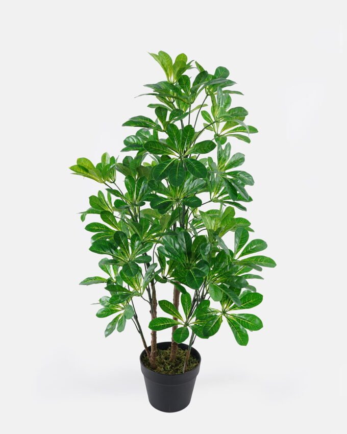 Artificial Tree Scheffera in PP pot lvs 420 GS-30624001_3 Artificial Tree 50*50*94cm Scheffera in PP pot/lvs 420 GS-30624001 2024Jul YeahFlower is one of Chinese leading OEM manufacturers and exporters , supplying the silk flowers, wholesale artificial trees
