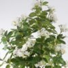 Artificial Tree 70*80*158cm Star cluster in PP pot GS-15424003CT-W1 2024Jul YeahFlower is one of Chinese leading OEM manufacturers and exporters , supplying the silk flowers, wholesale artificial trees