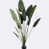Artificial Tree 90*90*180cm Sterlitzia *3 in PP pot/13 lvs GS-29824031CT-KD Tree&Plant 3,000+ sqm showroom with thousands of artificial flowers, plants & trees ready for global sourcing.