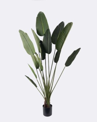 Artificial Tree 90*90*180cm Sterlitzia *3 in PP pot/13 lvs GS-29824031CT-KD 2024Jul YeahFlower is one of Chinese leading OEM manufacturers and exporters , supplying the silk flowers, wholesale artificial trees