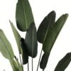 Artificial Tree 90*90*180cm Sterlitzia *3 in PP pot/13 lvs GS-29824031CT-KD Tree&Plant 3,000+ sqm showroom with thousands of artificial flowers, plants & trees ready for global sourcing.