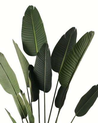 Artificial Tree 90*90*180cm Sterlitzia *3 in PP pot/13 lvs GS-29824031CT-KD 2024Jul YeahFlower is one of Chinese leading OEM manufacturers and exporters , supplying the silk flowers, wholesale artificial trees