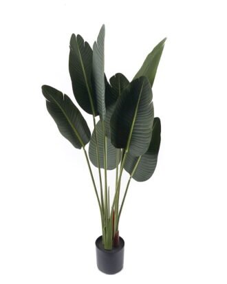 Artificial Tree 65*65*120cm Sterlitzia in PP pot/8 lvs GS-29824029CT-KD 2024Jul YeahFlower is one of Chinese leading OEM manufacturers and exporters , supplying the silk flowers, wholesale artificial trees