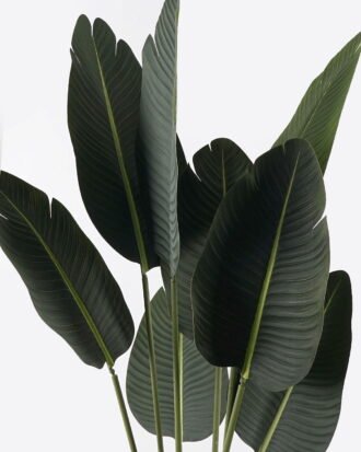 Artificial Tree 65*65*120cm Sterlitzia in PP pot/8 lvs GS-29824029CT-KD 2024Jul YeahFlower is one of Chinese leading OEM manufacturers and exporters , supplying the silk flowers, wholesale artificial trees