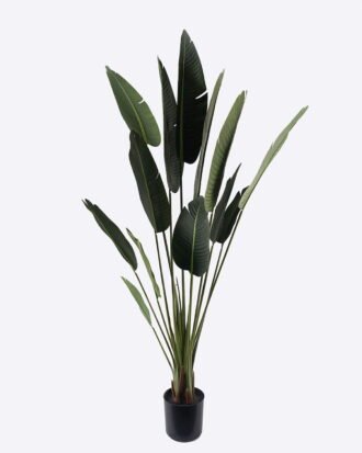 Artificial Tree 90*90*210cm Sterlitzia in PP pot GS-29824032CT-KD 2024Jul YeahFlower is one of Chinese leading OEM manufacturers and exporters , supplying the silk flowers, wholesale artificial trees