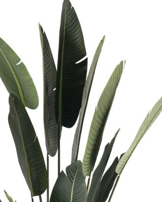 Artificial Tree 90*90*210cm Sterlitzia in PP pot GS-29824032CT-KD 2024Jul YeahFlower is one of Chinese leading OEM manufacturers and exporters , supplying the silk flowers, wholesale artificial trees