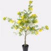 Artificial Tree Styphnolobium japonicum in PP pot GS-15424004CT Artificial Tree 65*50*132cm Styphnolobium japonicum in PP pot GS-15424004CT 2024Jul YeahFlower is one of Chinese leading OEM manufacturers and exporters , supplying the silk flowers, wholesale artificial trees