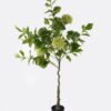 Artificial Tree ydrangea 7 in PP pot GS-15424010CT_4 Artificial Tree 112*112*180cm ydrangea *7 in PP pot GS-15424010CT 2024Jul YeahFlower is one of Chinese leading OEM manufacturers and exporters , supplying the silk flowers, wholesale artificial trees
