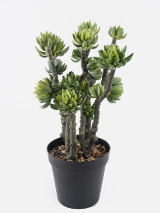 Artificial Flower 12*77CM Aragoana GS-3910038-P1 2024Aug YeahFlower is one of Chinese leading OEM manufacturers and exporters , supplying the silk flowers, wholesale artificial trees