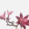Artificial succulent 20*10*28cm succulent single stem GS-30324001CT-Z1 2024Jul YeahFlower is one of Chinese leading OEM manufacturers and exporters , supplying the silk flowers, wholesale artificial trees