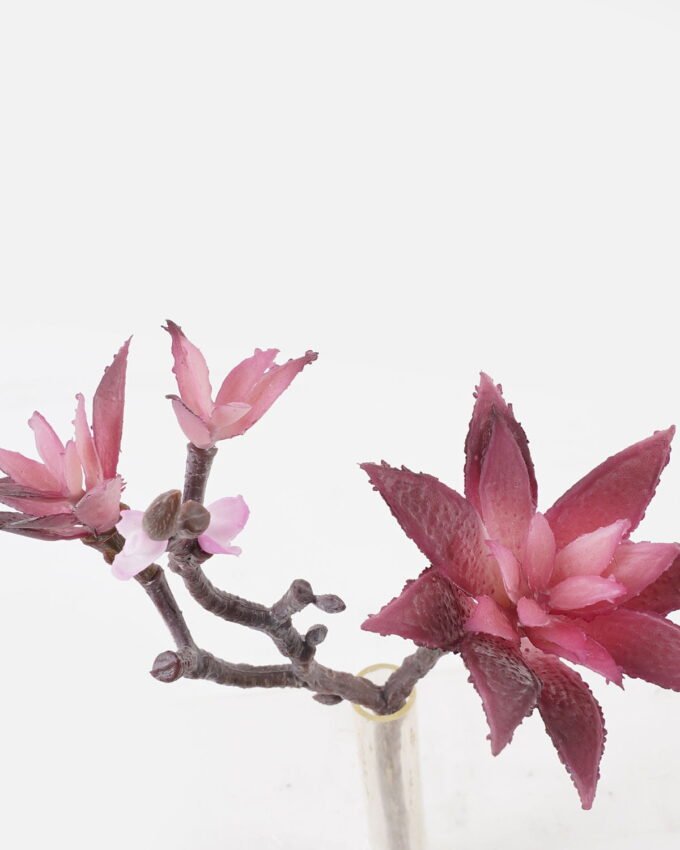 Artificial succulent 20*10*28cm succulent single stem GS-30324001CT-Z1 2024Jul YeahFlower is one of Chinese leading OEM manufacturers and exporters , supplying the silk flowers, wholesale artificial trees