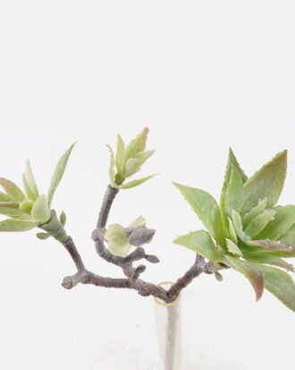 Artificial succulent 20*10*28cm succulent single stem GS-30324001CT 2024Jul YeahFlower is one of Chinese leading OEM manufacturers and exporters , supplying the silk flowers, wholesale artificial trees