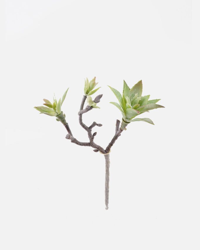 Artificial succulent succulent single stem GS-30324001CT_3 Artificial succulent 20*10*28cm succulent single stem GS-30324001CT 2024Jul YeahFlower is one of Chinese leading OEM manufacturers and exporters , supplying the silk flowers, wholesale artificial trees