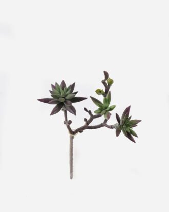 Artificial succulent 17*15*28cm succulent single stem GS-30324004CT-Z2 2024Jul YeahFlower is one of Chinese leading OEM manufacturers and exporters , supplying the silk flowers, wholesale artificial trees
