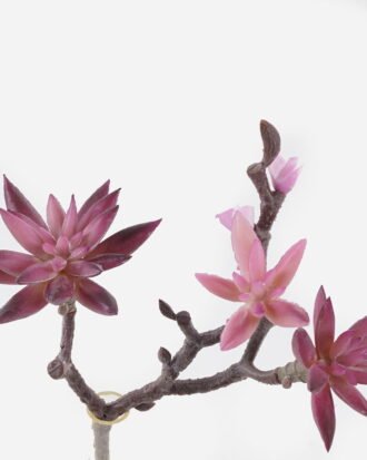 Artificial succulent 17*15*28cm succulent single stem GS-30324004CT 2024Jul YeahFlower is one of Chinese leading OEM manufacturers and exporters , supplying the silk flowers, wholesale artificial trees