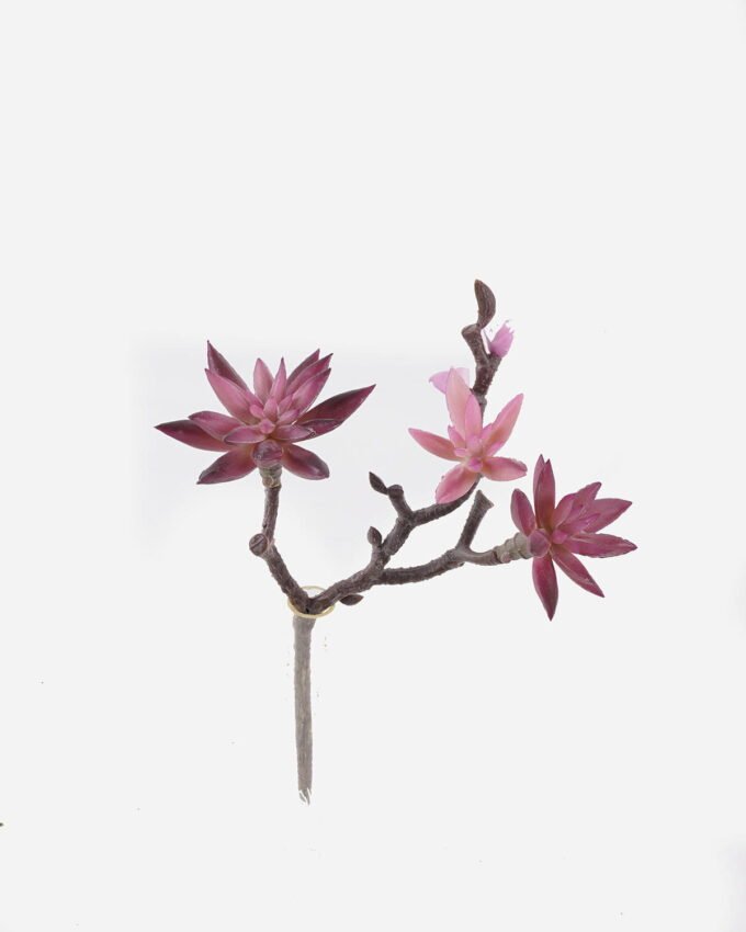 Artificial succulent 17*15*28cm succulent single stem GS-30324004CT 2024Jul YeahFlower is one of Chinese leading OEM manufacturers and exporters , supplying the silk flowers, wholesale artificial trees